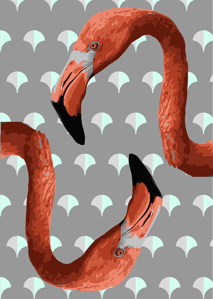 Twin flamingos