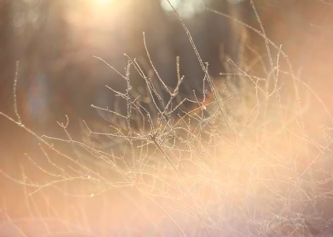 frozen light