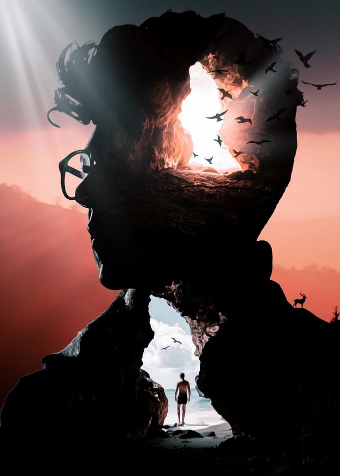 Beach Cave Head and Birds