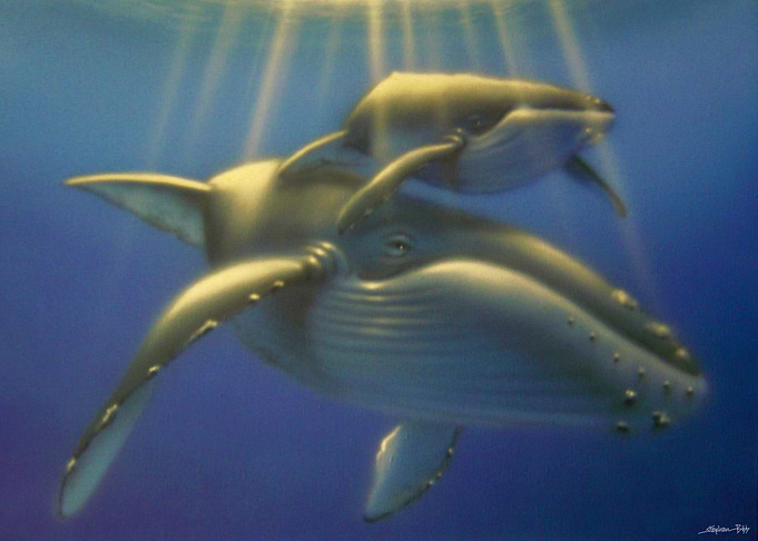Mother and Calf