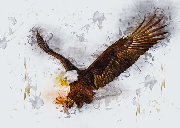 Eagle