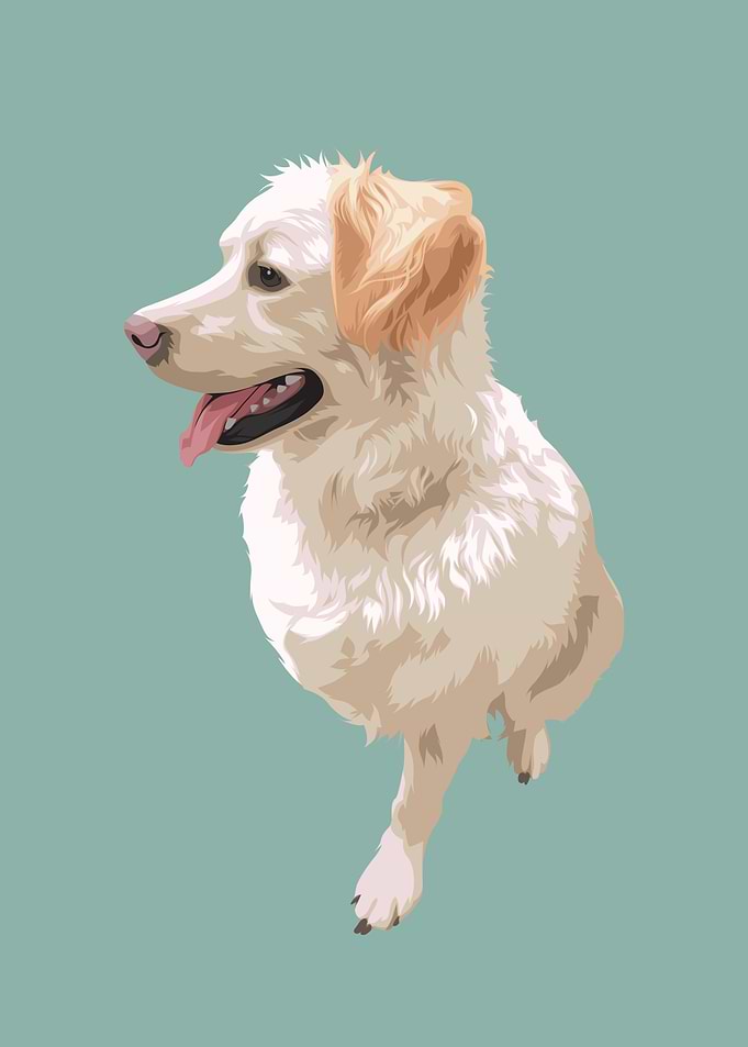 Pet Dog Cute
