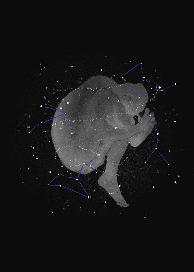 Supernova