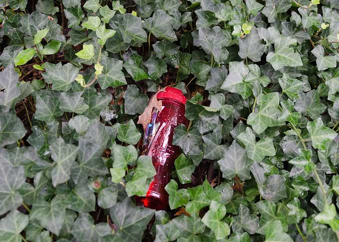 Red Among Green