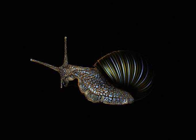 Neon Snail v2
