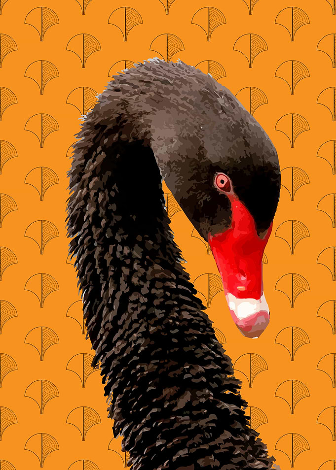 Black swan