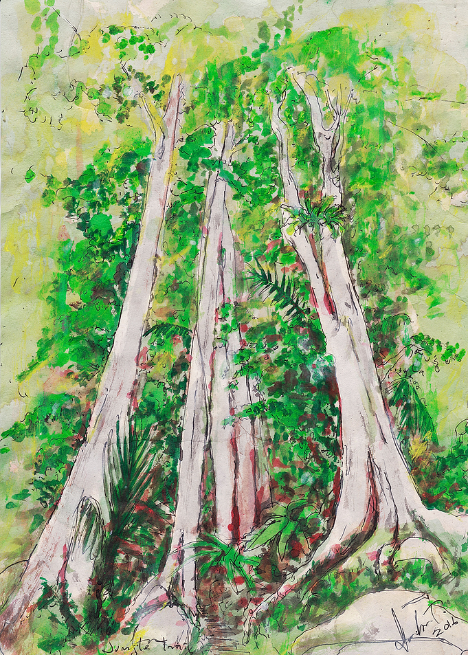 Jungle Trail