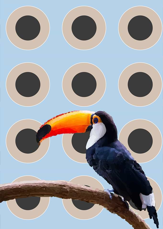 Circle Tucan