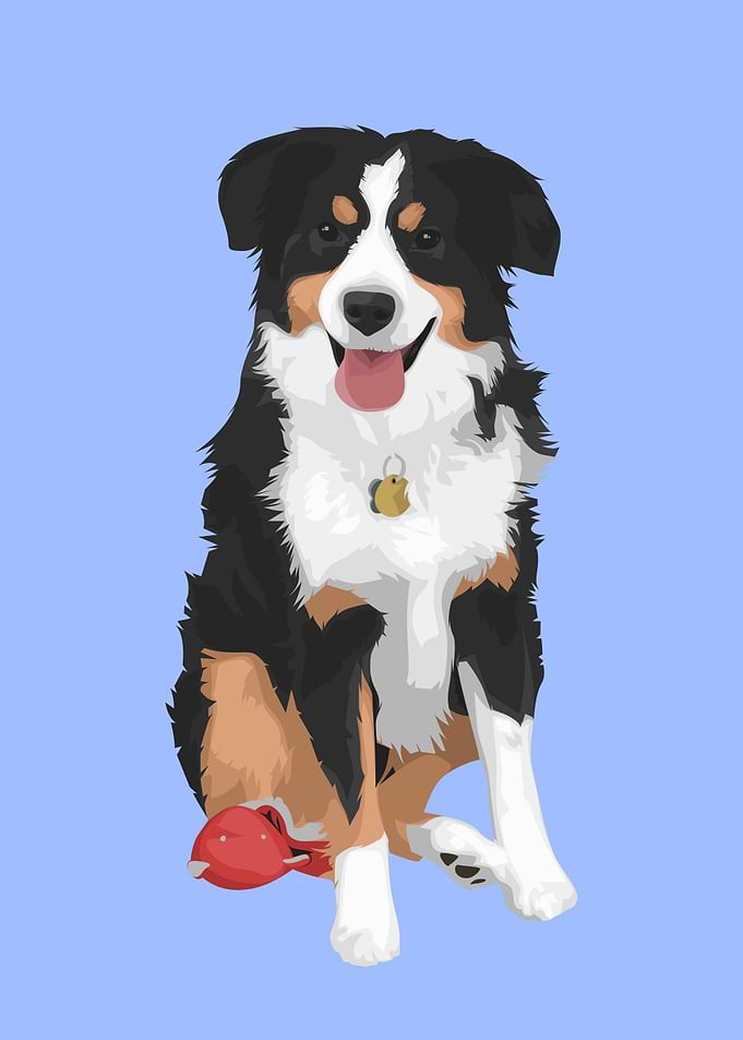 Pet Cute Dog Smile