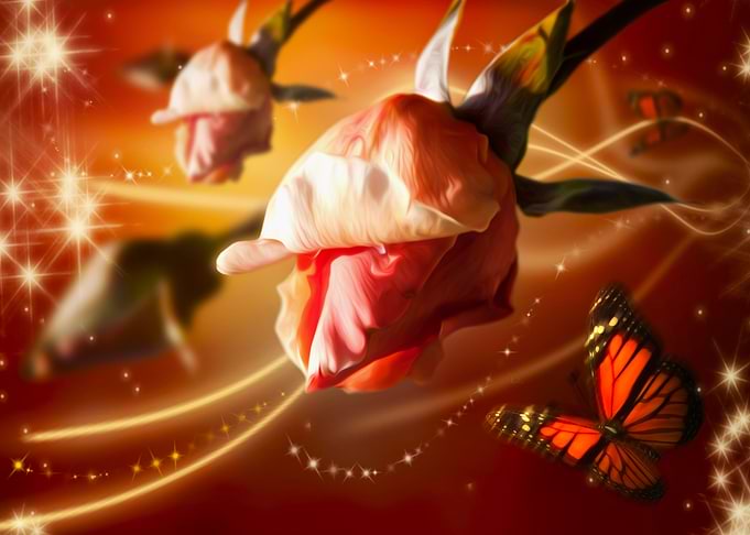Rose Bud