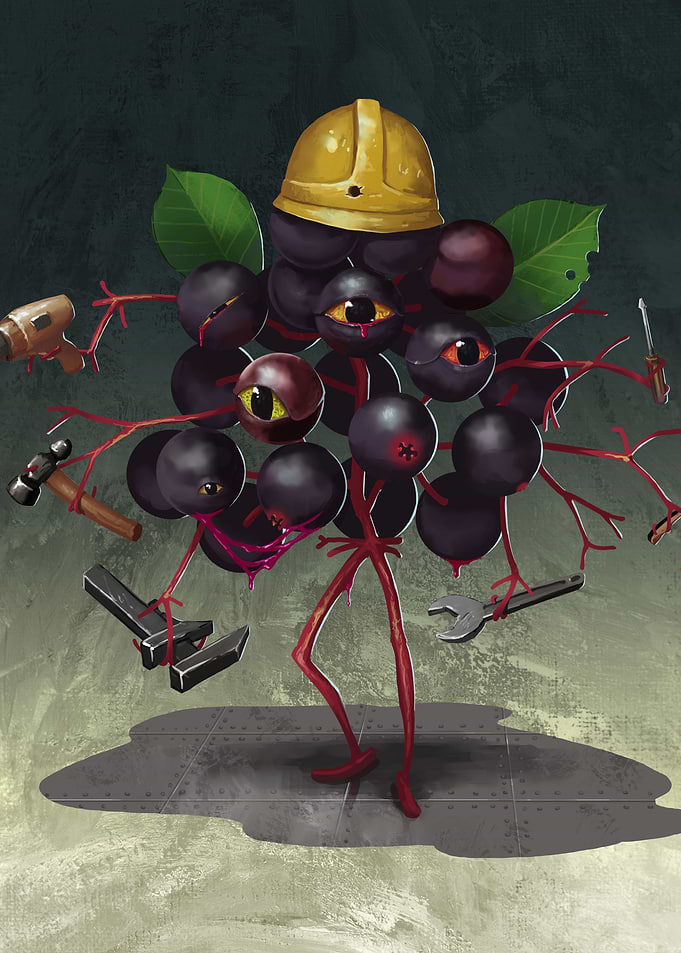 Engineer Elderberry