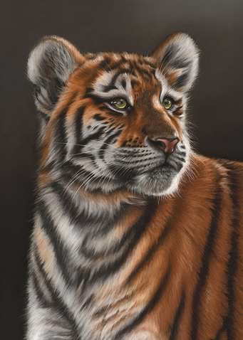 Tiger Cub