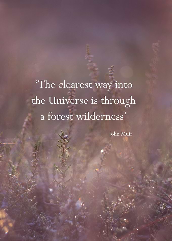 the way of the Universe