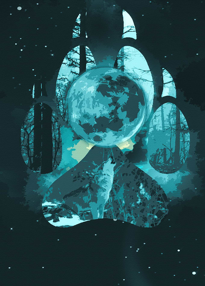 Wolf and Moon