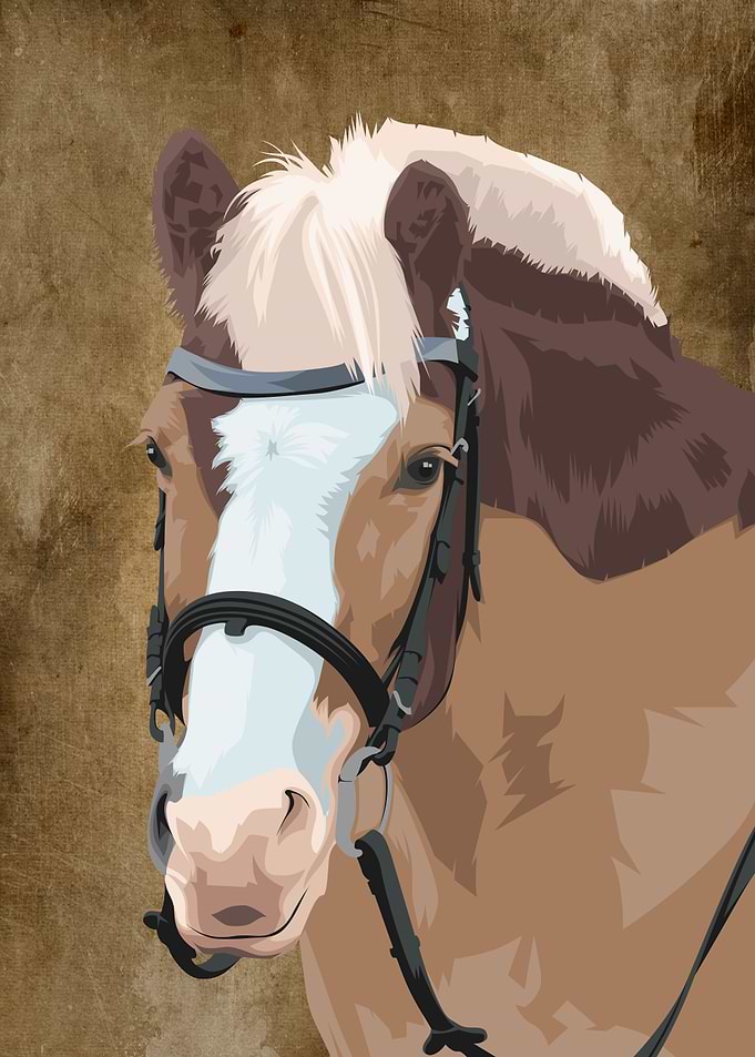 Head Horse Pet