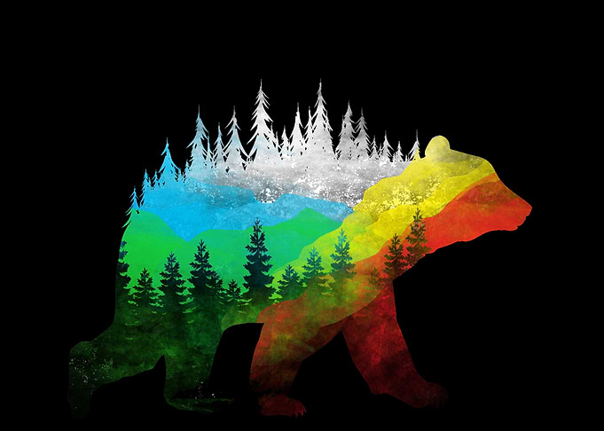 Bear Nature