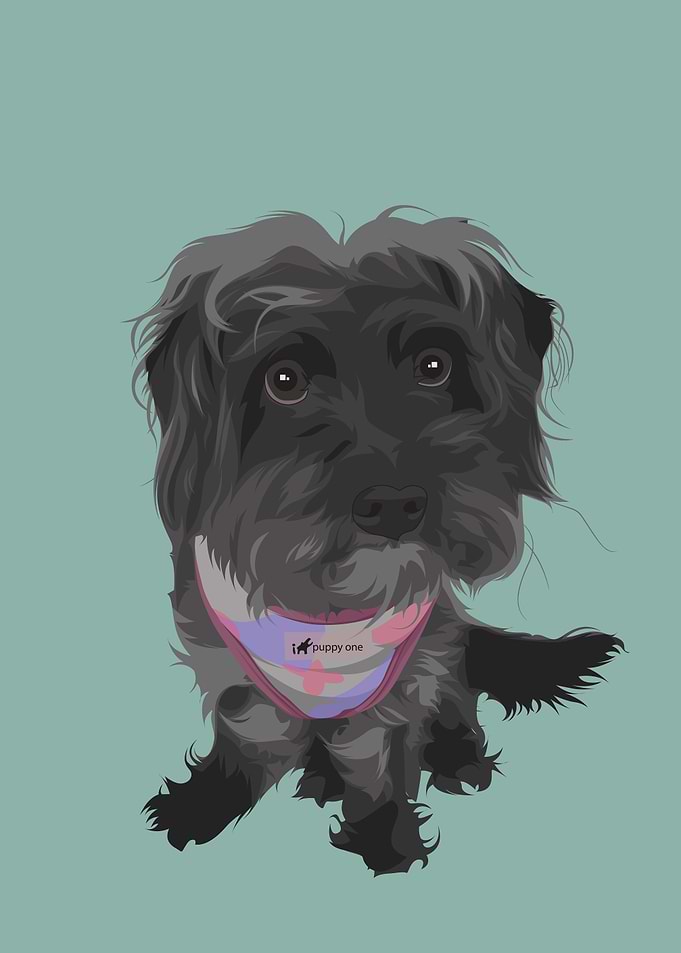 Maltese Dig Illustration
