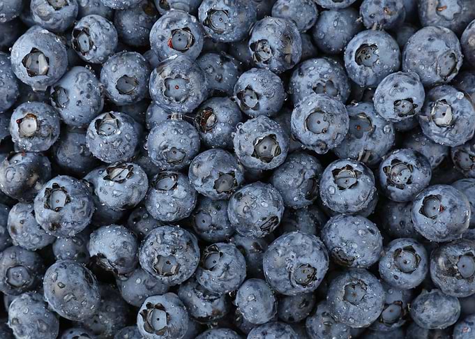 Close up blueberry