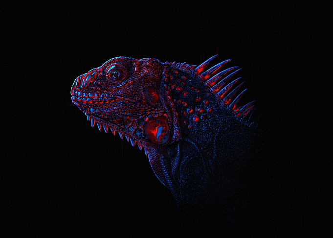 Neon Lizard v1