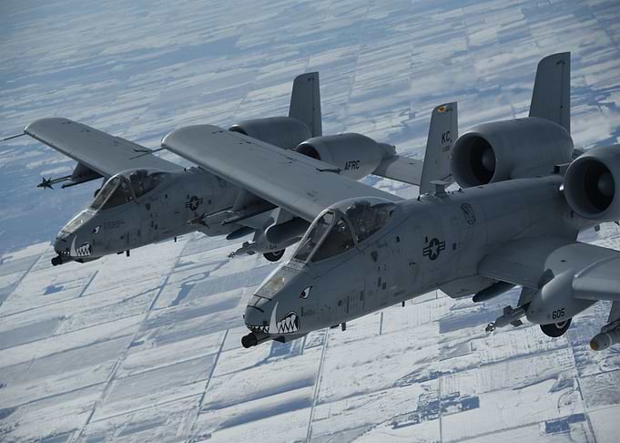 Warthogs