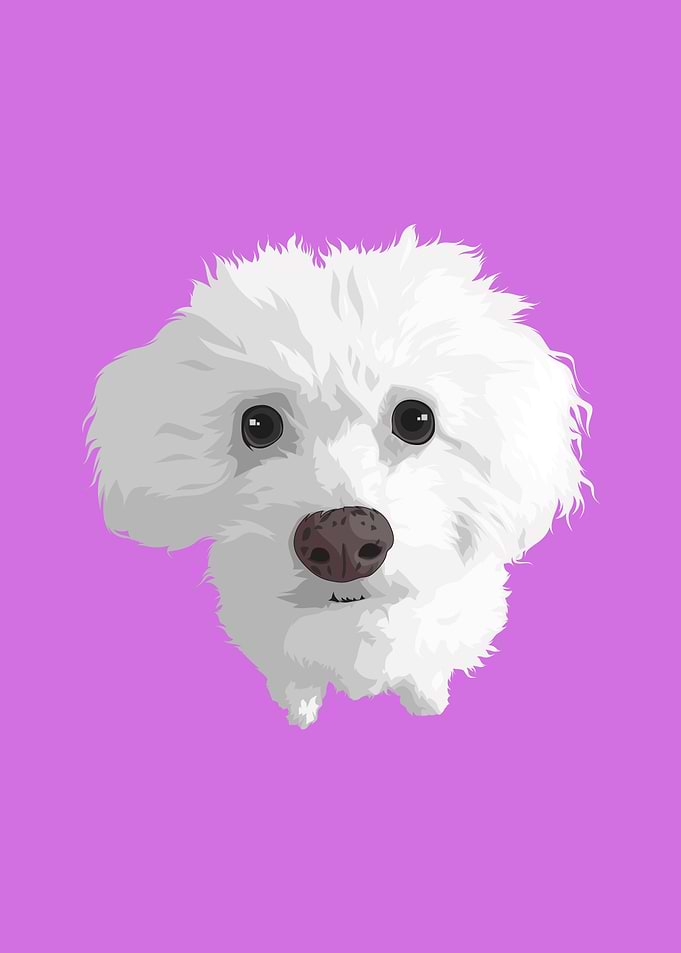 Vector Pet Maletse Dog