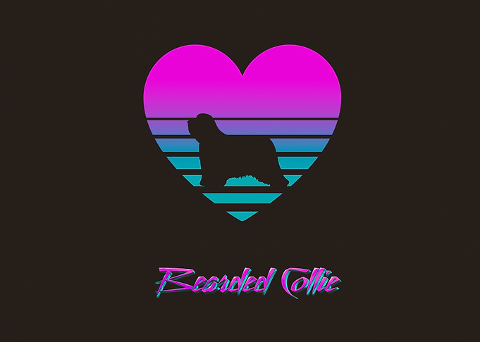 Bearded Collie Vaporwave