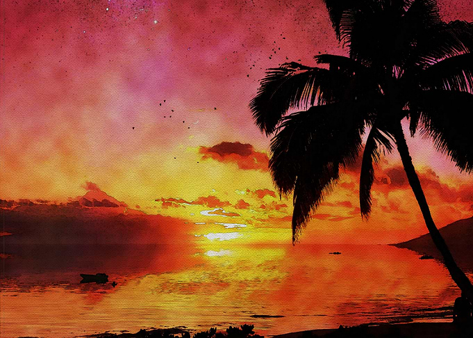 Sundown Palm