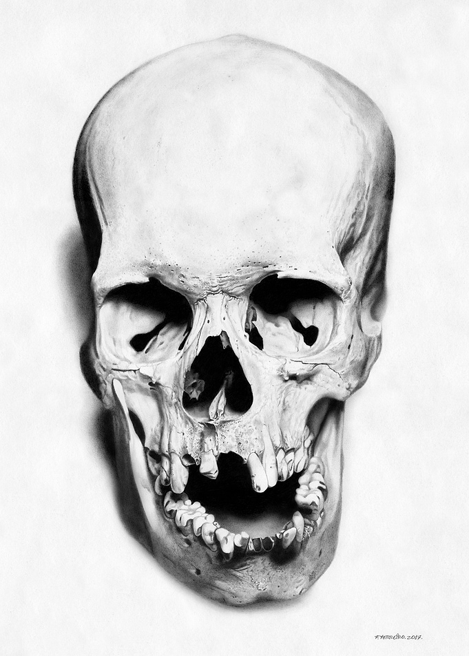 Skull
