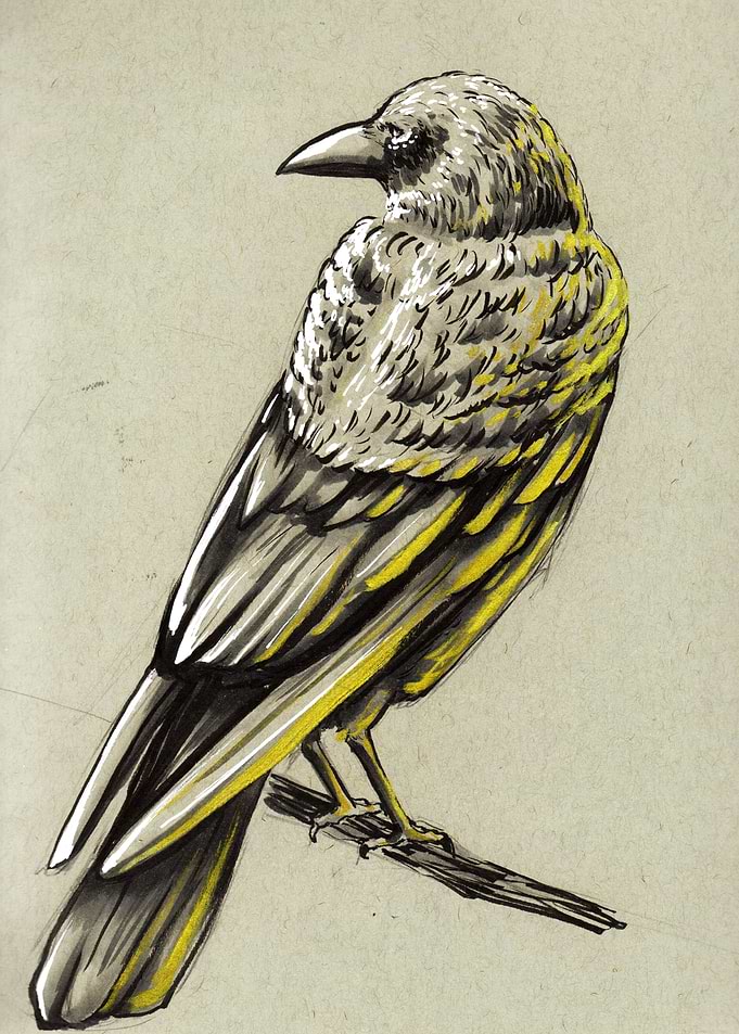 Inked Crow