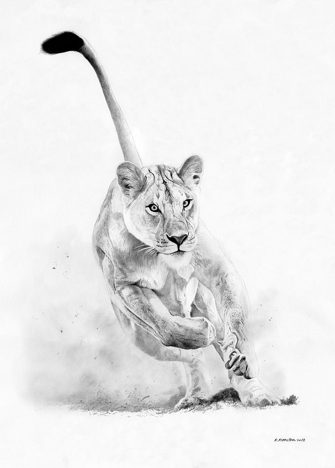 Hunting