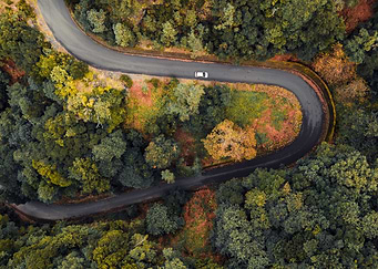 Autumn Curvy Road