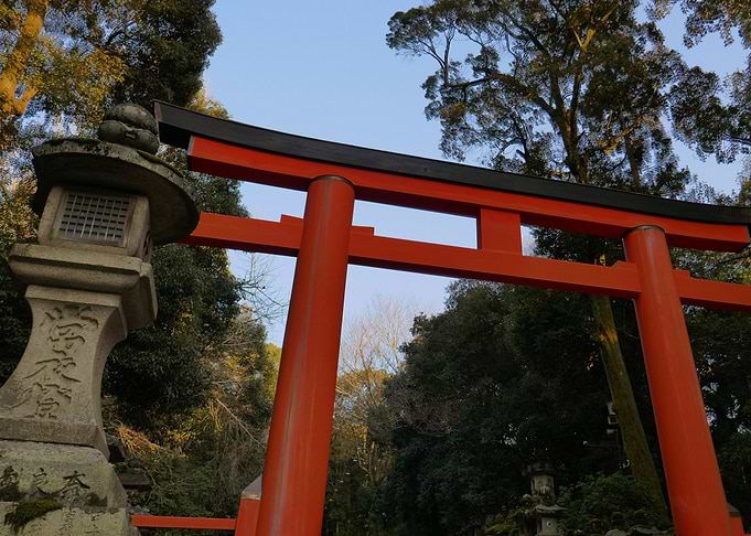 Nara Torii