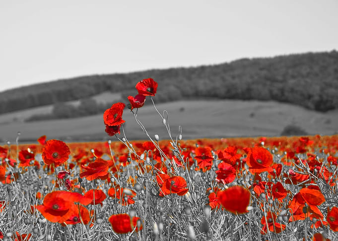 On a Field