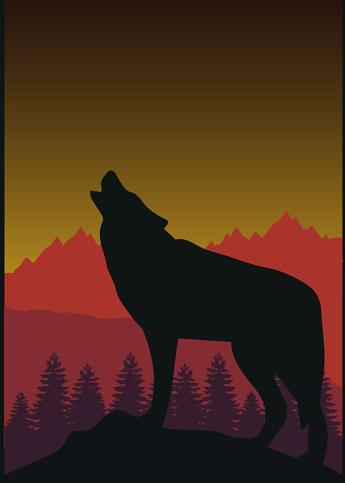 High Tide Wolf