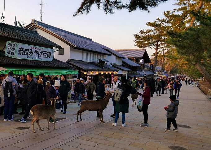Nara shopping street