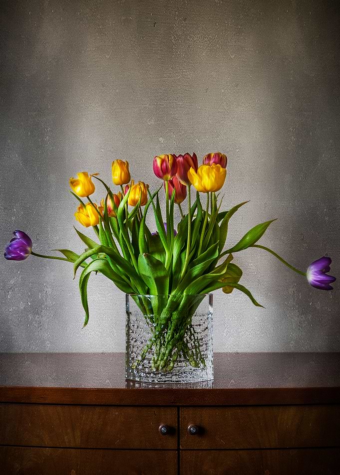Tulips