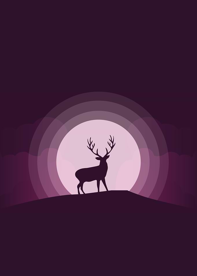 Stag 2 Animals