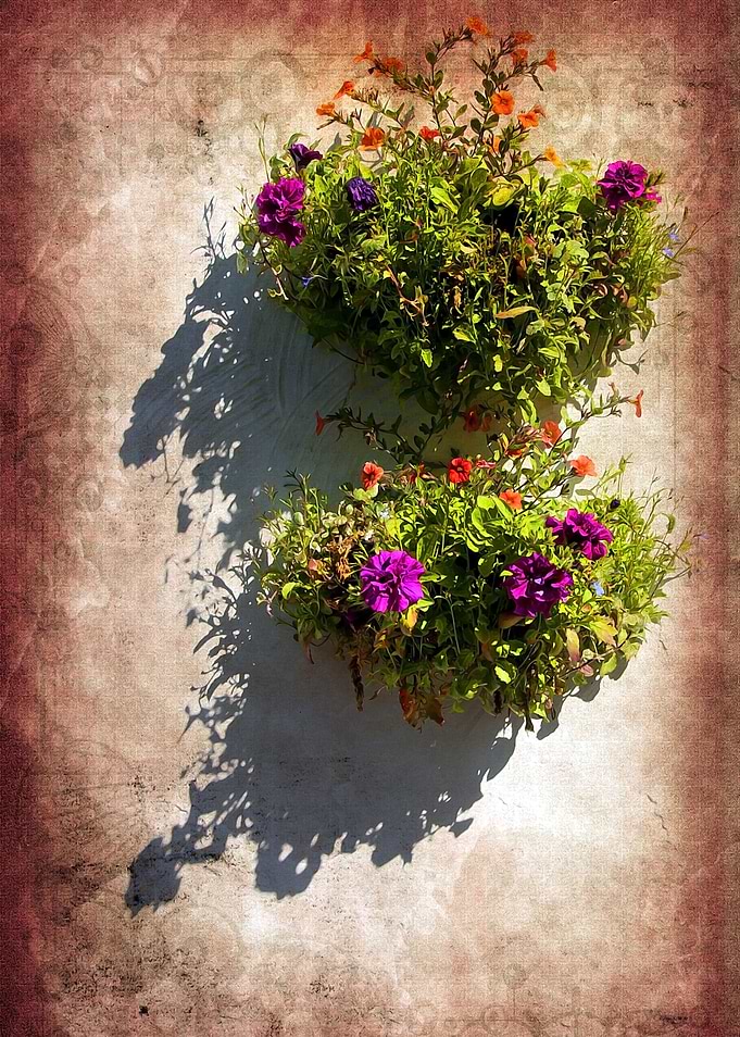 On a Wall
