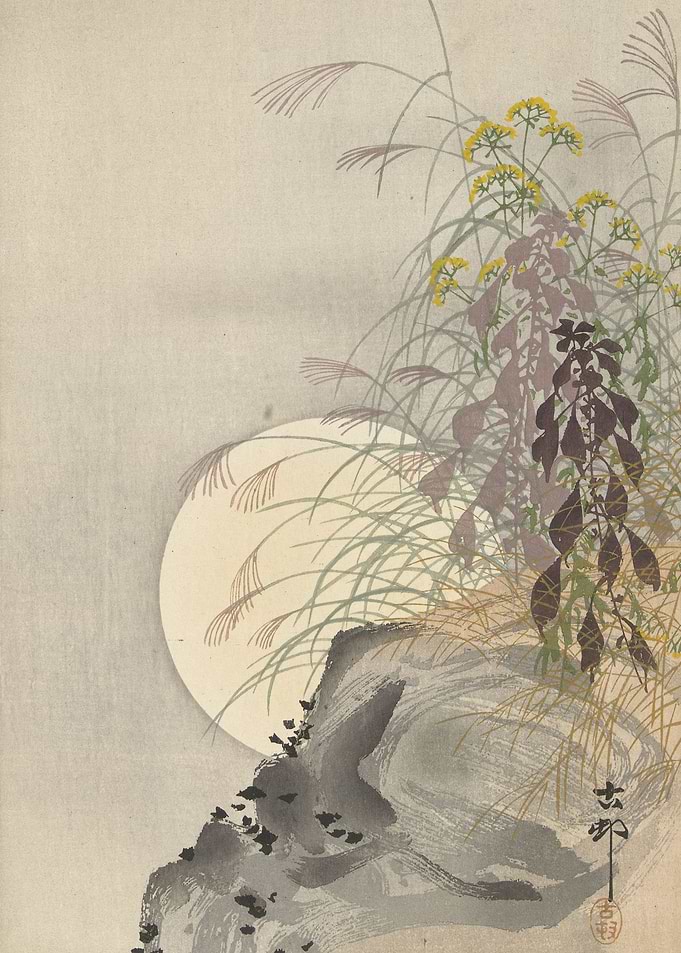 Grasses at full moon