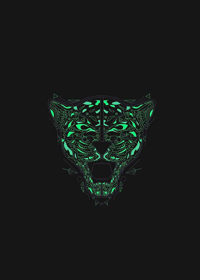 Cheetah