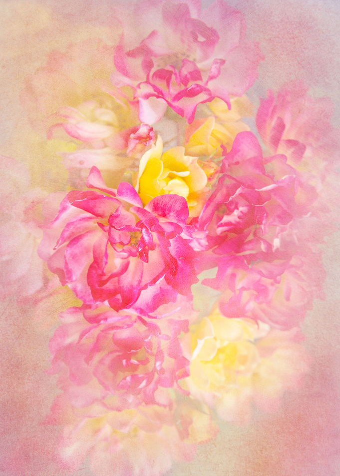 Pastel Flowers