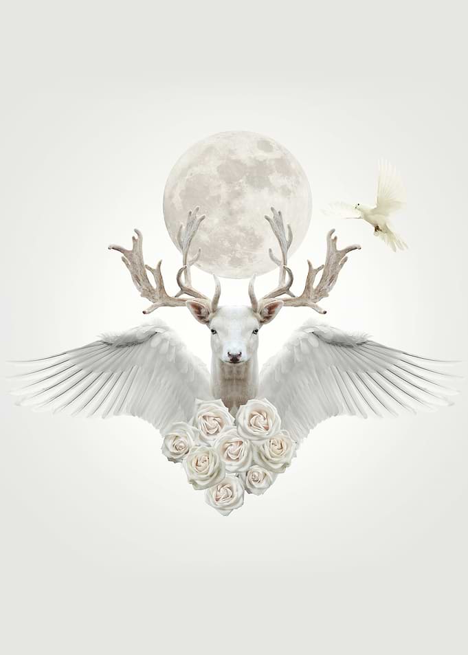 angel deer
