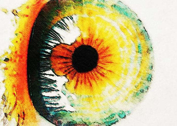 Eye