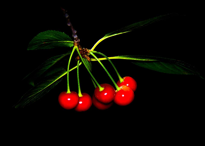 Red Cherries
