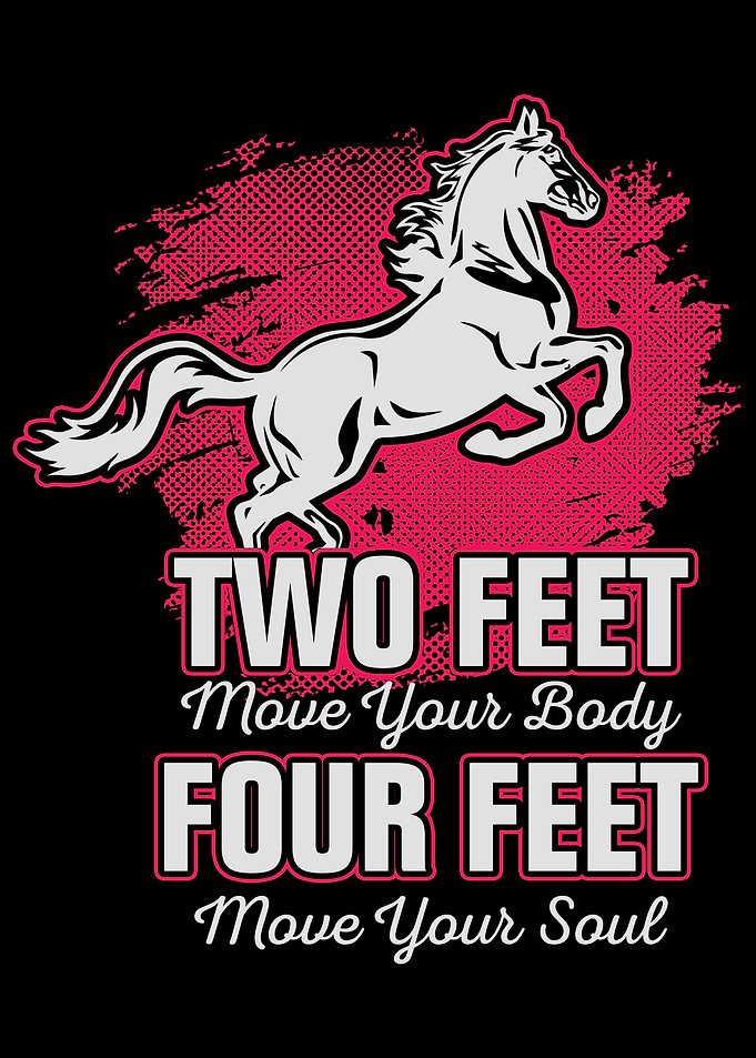 Horse Horse equestrian