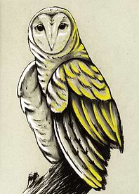 Inked Owl