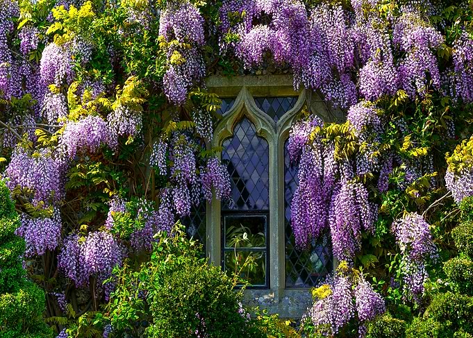 Spring Time