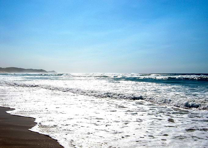 Mozambique Beauty