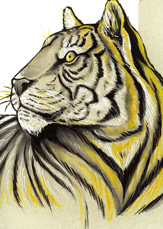 Inked Tiger
