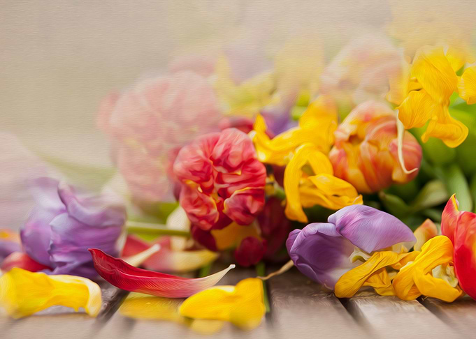 Petals